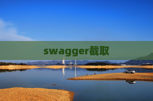 swagger截取